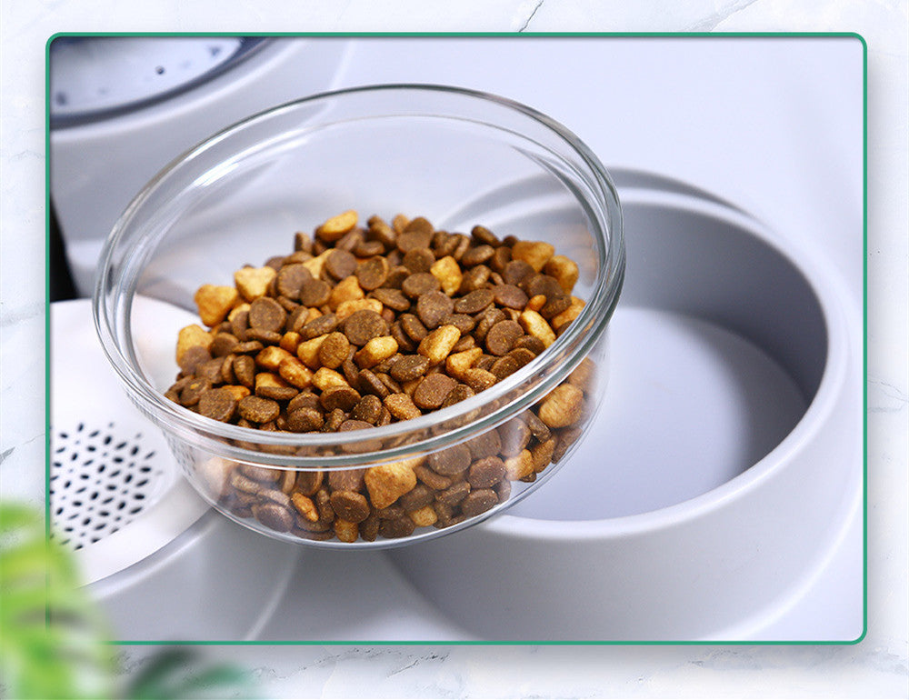 Leevar Gravity Pet Feeder — removable transparent food bowl close-up with kibble
