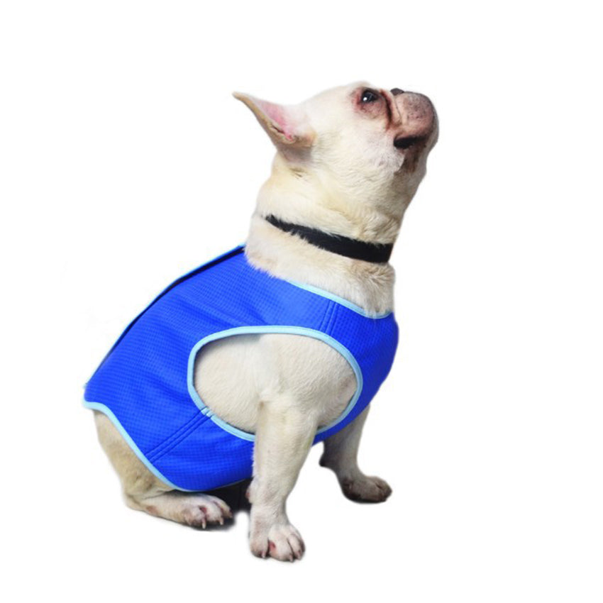 Dog wearing a blue Leevar cooling vest for warm-weather walks