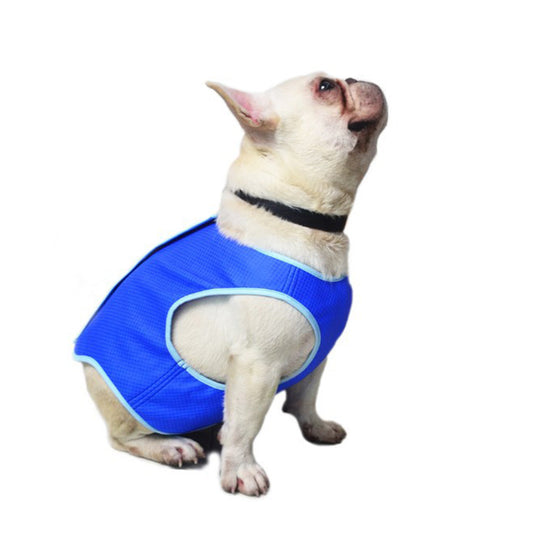 Dog wearing a blue Leevar cooling vest for warm-weather walks