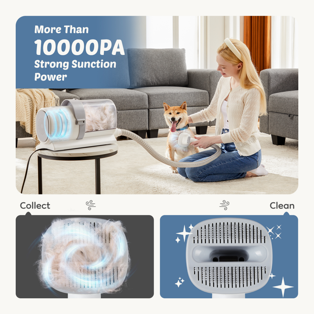 Low noise cordless clipper for anxious dogs