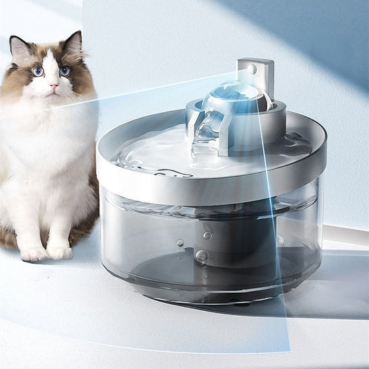 Cat Water Fountain — real product photo