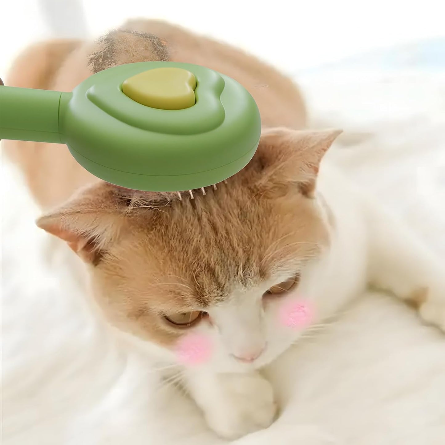 Leevar self-cleaning slicker brush grooming a ginger cat — gentle on sensitive skin